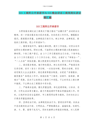 315工商所公开承诺书与315晚会讲话工商局局长讲话稿汇编