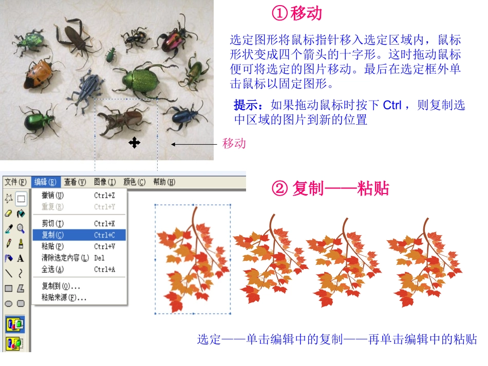 小小设计师 (2)_第3页