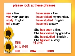 现在完成时 (3)