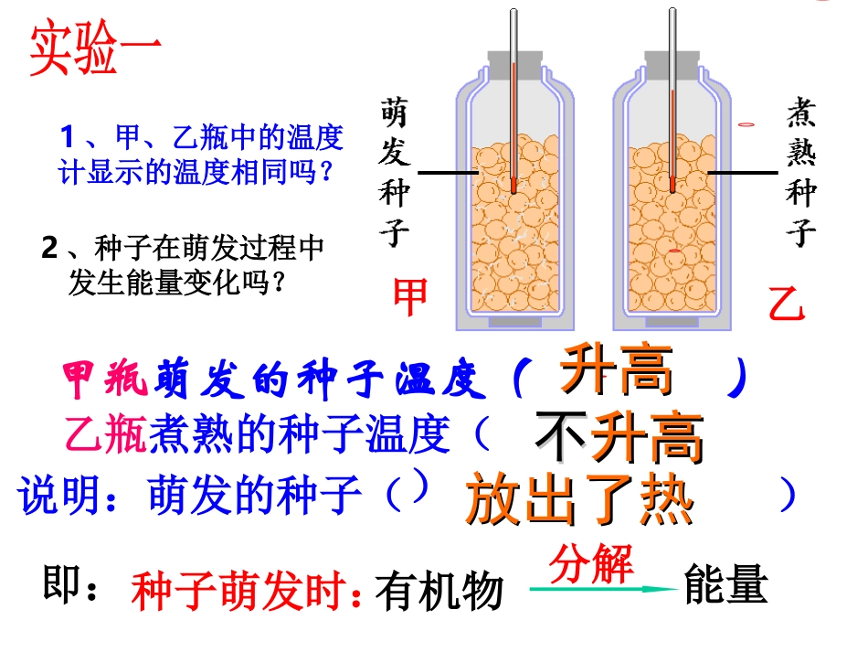 绿色植物的呼吸作用_第3页