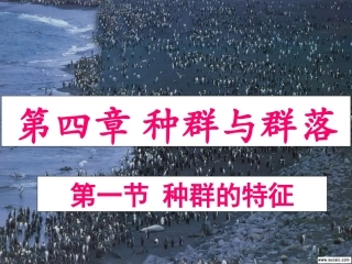 种群的特征(用)