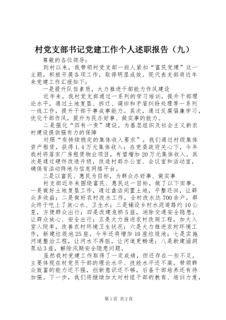 村党支部书记党建工作个人述职报告（九）