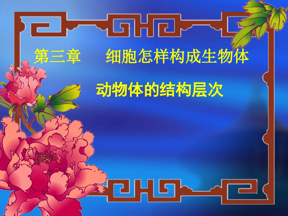 人教版第一节+动物体的结构层次_第3页