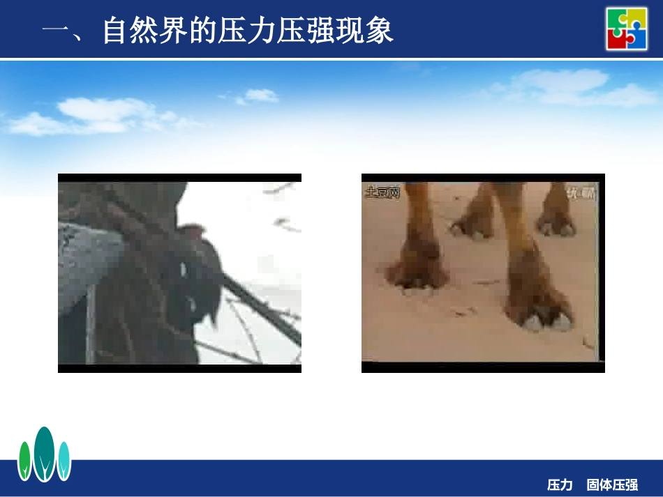 压力固体压强_第2页