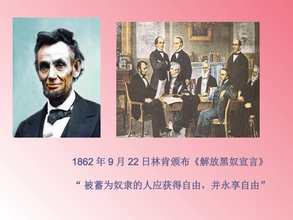 我有一个梦想 (2)_第1页