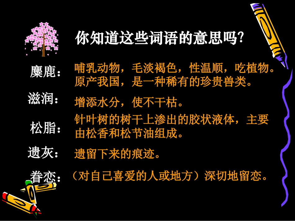 《这片土地是神圣的》课件1_第3页