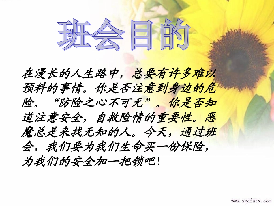 校园安全主题班会课件(刘欣)_第2页