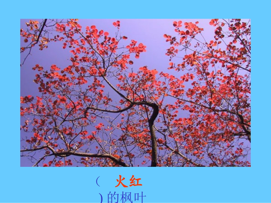 蓝色的树叶PPT_第3页