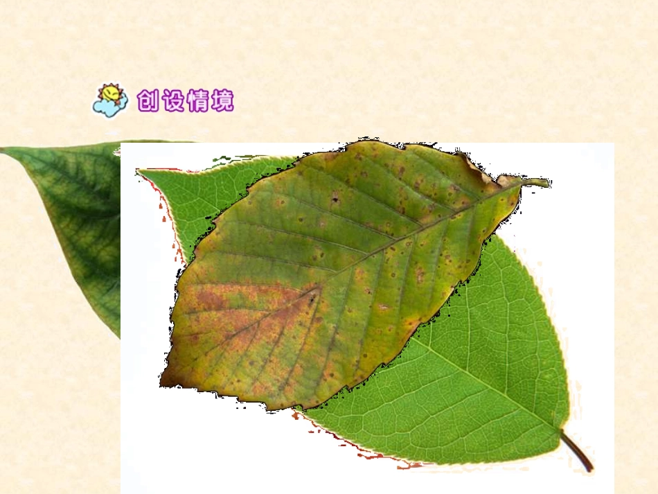 二年级语文蓝色的树叶_第2页