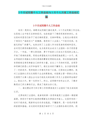 3个月试用期个人工作总结与3月个人月度工作总结汇编
