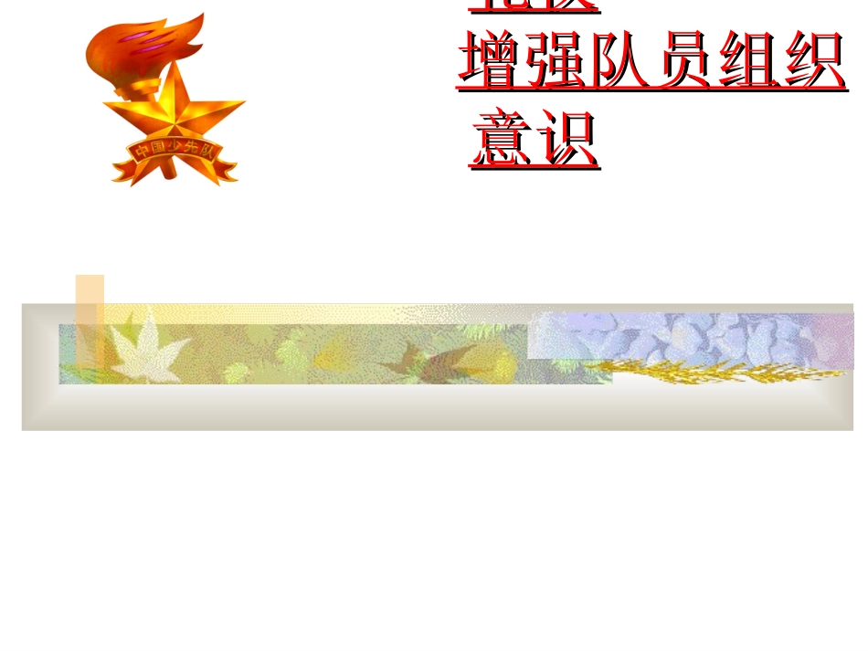 规范少先队礼仪(wyf)_第1页