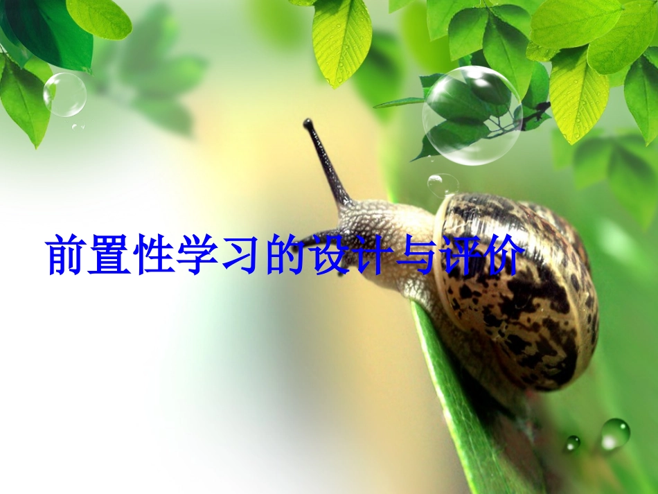 前置性学习的设计与评价_第1页