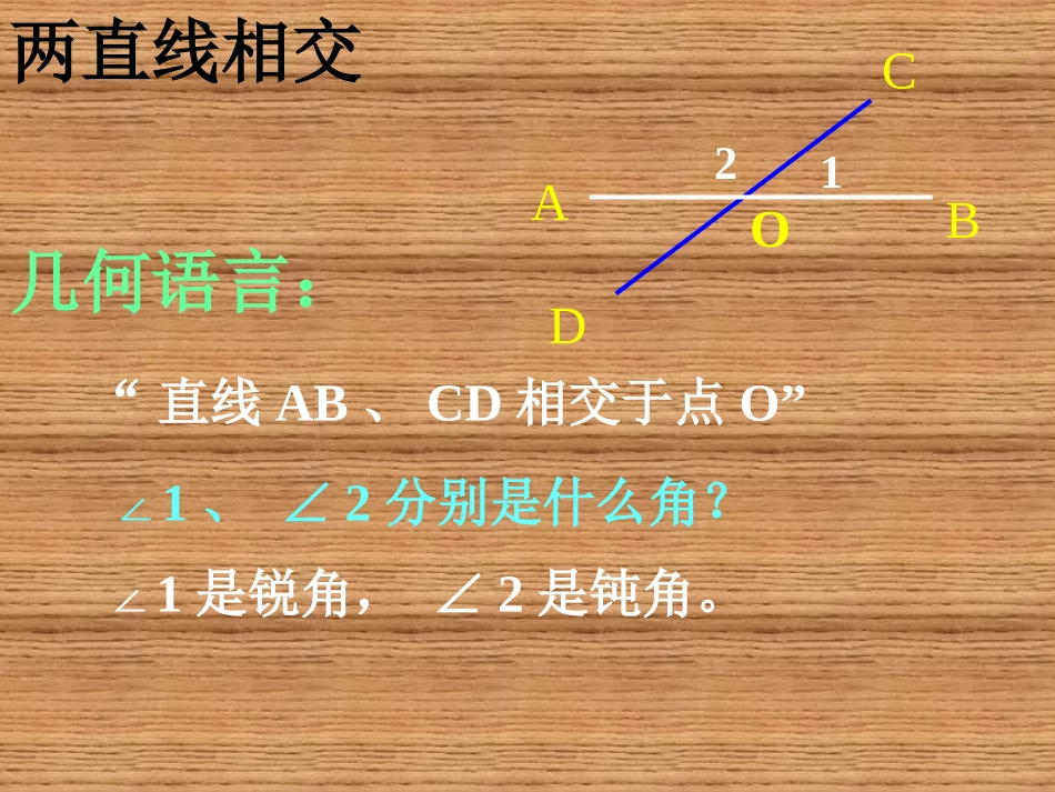 数学：471《垂线》课件2（华东师大版七年级上）_第3页