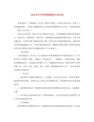 2020年中小学体育教师的工作计划