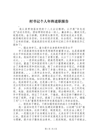 村书记个人年终述职报告