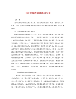 2020年村级党支部党建工作计划
