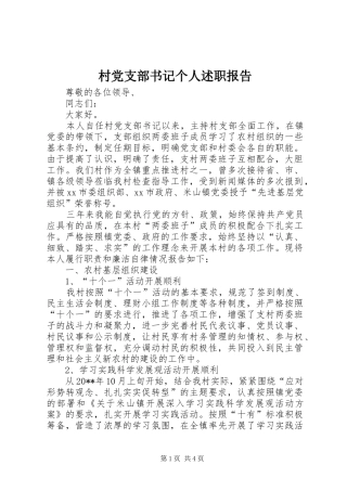 村党支部书记个人述职报告