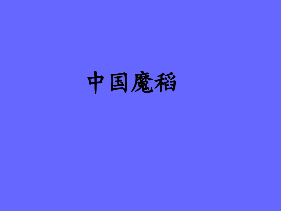 《中国魔稻》教学课件_第1页