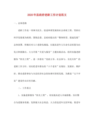 2020年县政府老龄工作计划范文