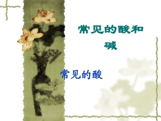 九年级化学常见的酸和碱常见的酸2课件粤教版