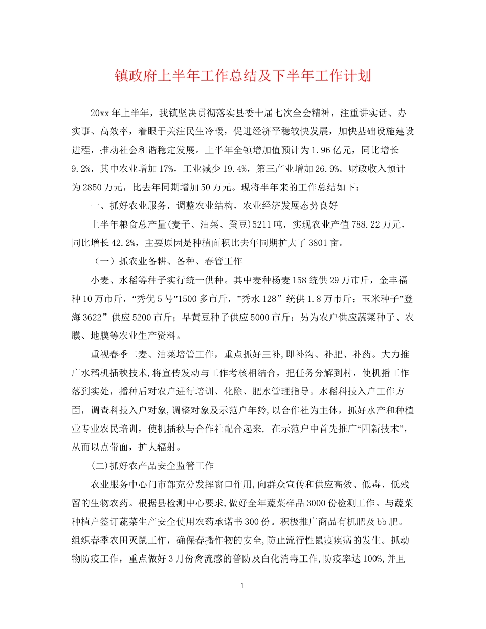 镇政府上半年工作总结及下半年工作计划_第1页