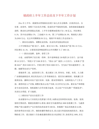 镇政府上半年工作总结及下半年工作计划