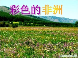《彩色的非洲》课件