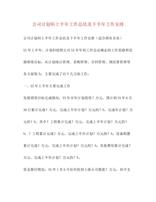 公司计划科上半年工作总结及下半年工作安排