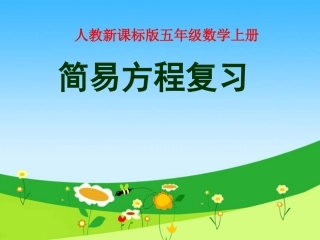 简易方程复习 (2)