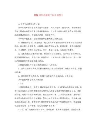 青年志愿者工作计划范文