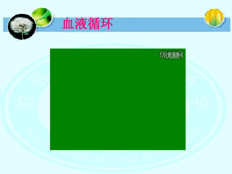 第二课心脏和血管_第2页