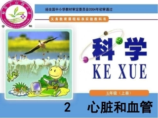 第二课心脏和血管