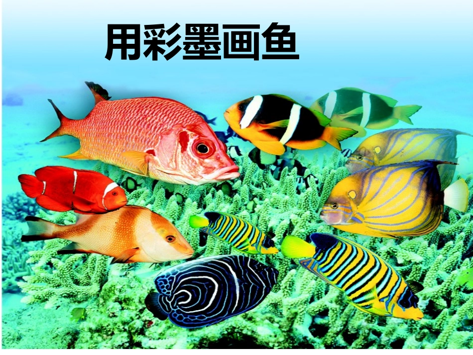 用彩墨画鱼 (2)_第1页