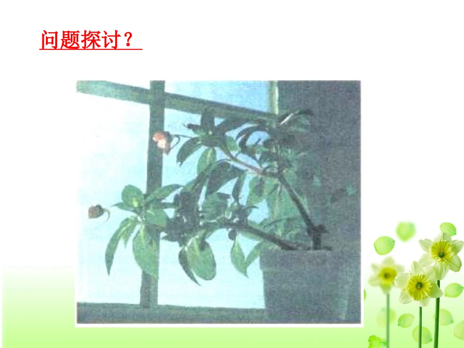第三章第一节植物生长素的发现_第2页