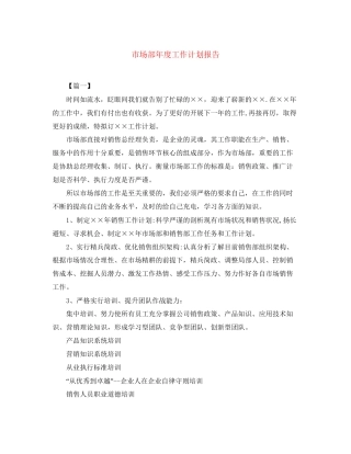 市场部年度工作计划报告
