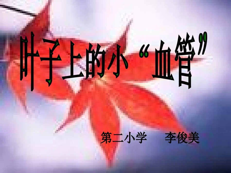叶子上的小血管课件_第1页