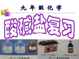 公开课酸碱盐的复习