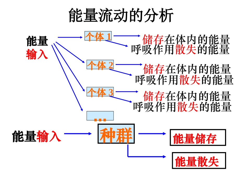 第五章能量流动(新教材）_第3页