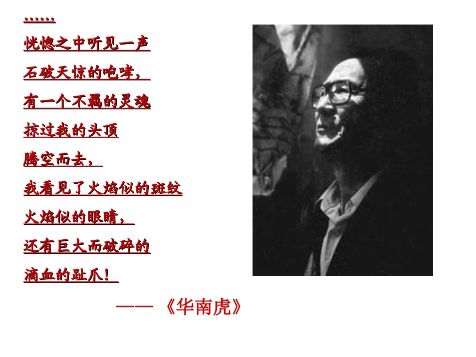 我的第一本书上课_第1页