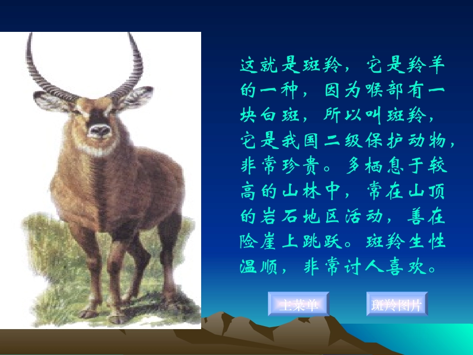 《斑羚飞度》_第3页