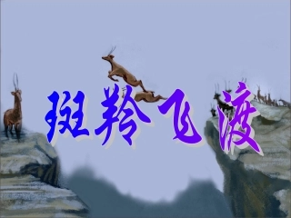 《斑羚飞度》
