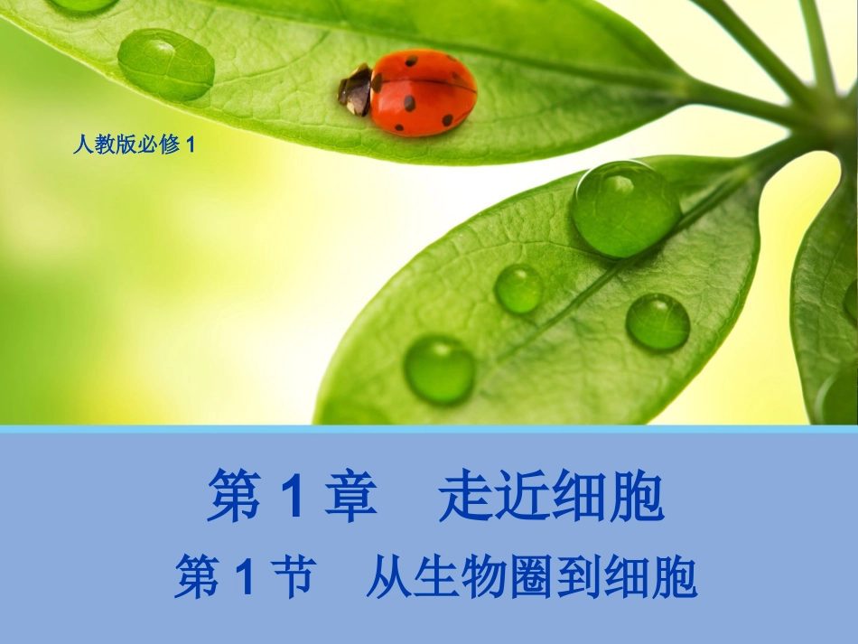 【生物】11从生物圈到细胞（人教版必修1）_第1页
