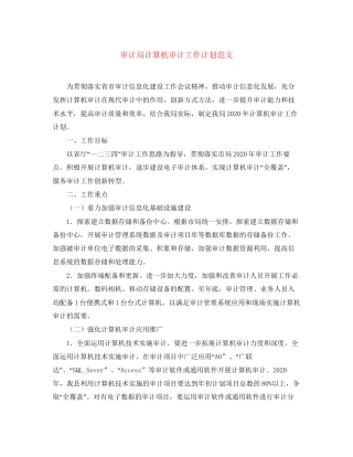 审计局计算机审计工作计划范文