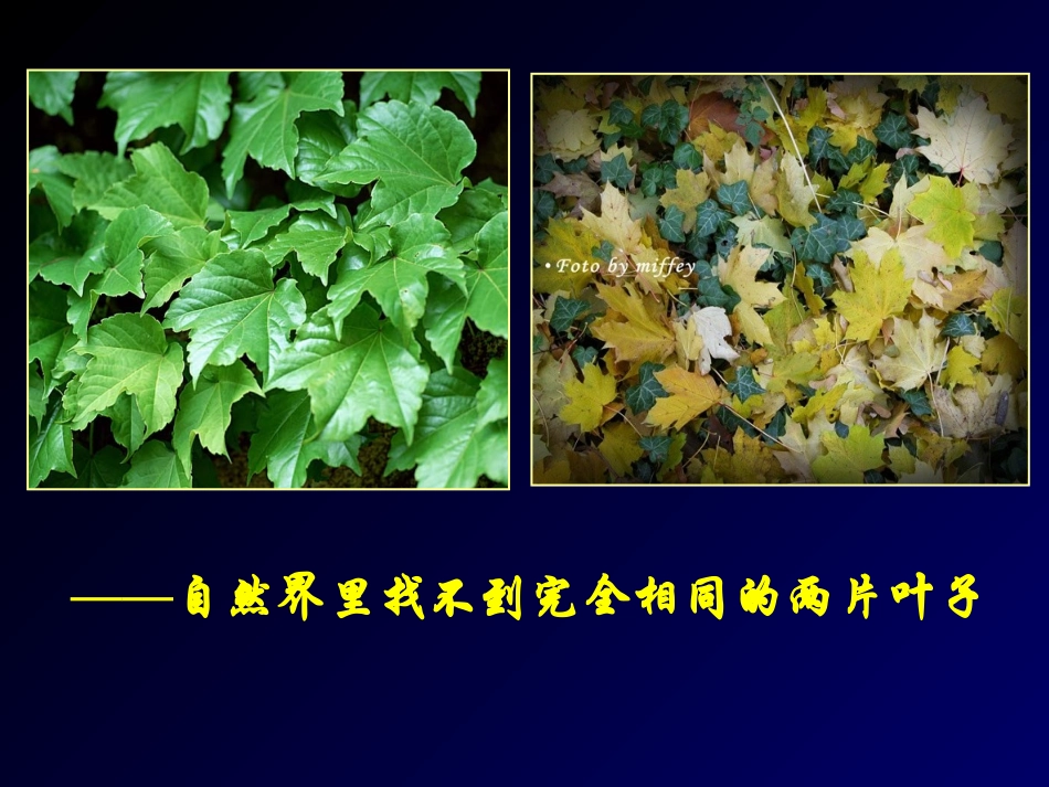 自然地理环境的差异性用_第3页