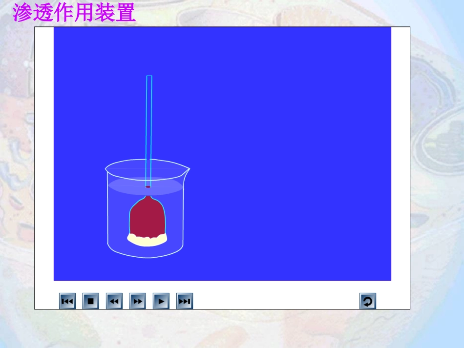 物质跨膜运输_第2页