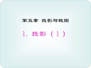 新北师大版九年级数学上51《投影》课件(共2课时)