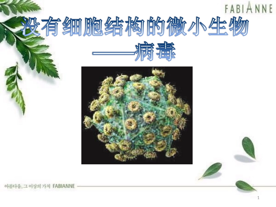 人教版八年级生物上册第五章《病毒》槐英梅_第1页