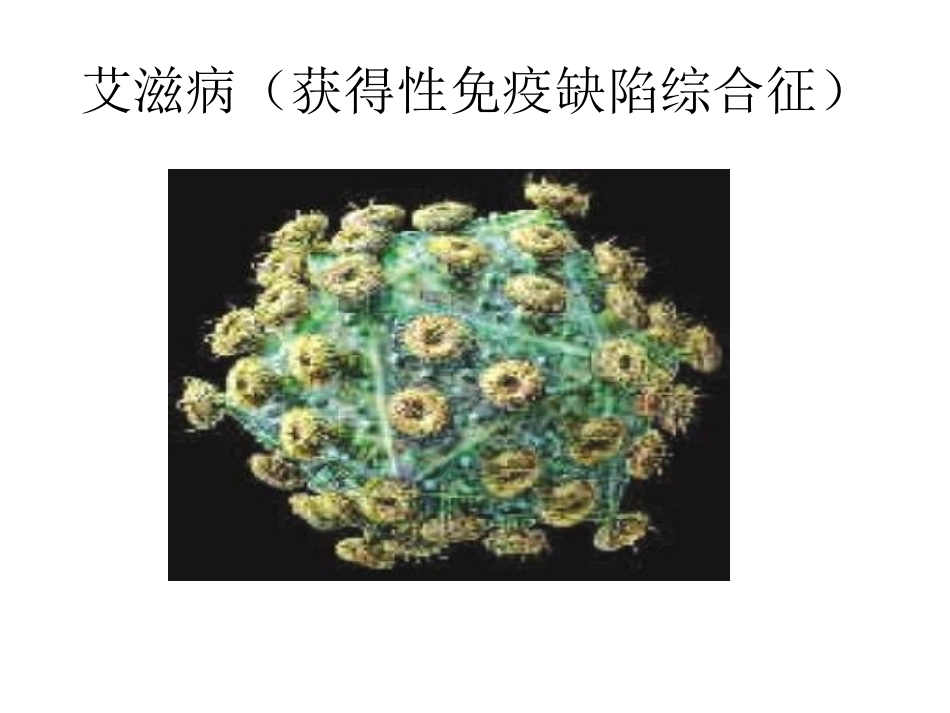 人教版八年级生物上册第五章《病毒》槐英梅_第2页