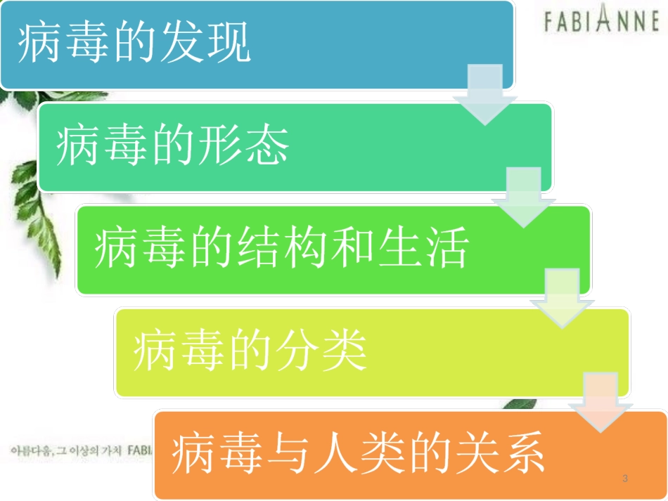 人教版八年级生物上册第五章《病毒》槐英梅_第3页
