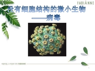 人教版八年级生物上册第五章《病毒》槐英梅